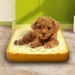small dog cushion