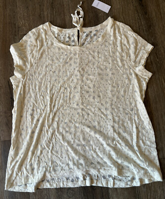 Ann Taylor Loft Ivory Burnout Polkadot Cap Short Sleeve Blouse Top Shirt XL