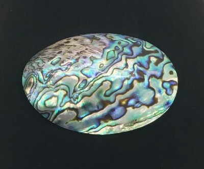 Iridescent Abalone Shell Belt Buckel Abalone Cameo Belt Buckle main image 4