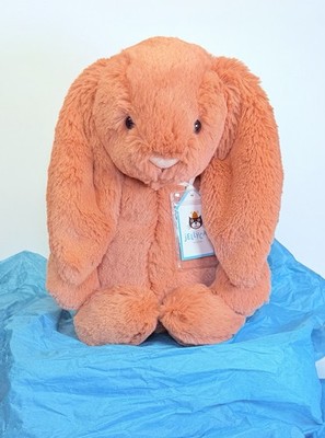 Jellycat Bashful Sauerampfer Hase Medium Plüschtier Brandneu mit Etikett SELTEN NICHT MEHR ERHÄLTLICH Versand am selben Tag