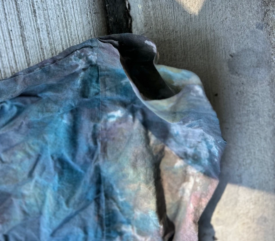 Telón de fondo fotográfico pintado a mano James Bright Fondos 10X22 con bolsa Foto 3 de 4