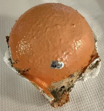 Houston Astros Game Used Minute Maid Park Train Form Orange - MLB hologram