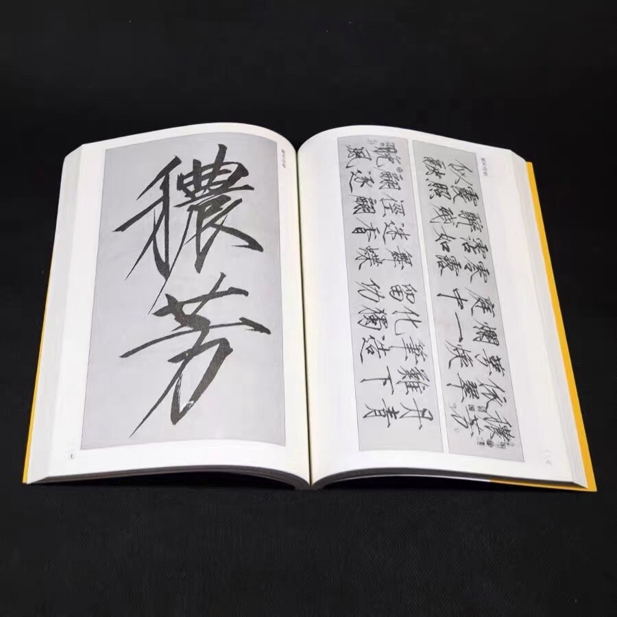 Chinese calligraphy copybook PEN write 宋徽宗书法全集赵佶瘦金体