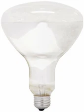 GE Lighting 21256 Soft White 300-watt R40 Light Bulb with Mogul Screw Base,