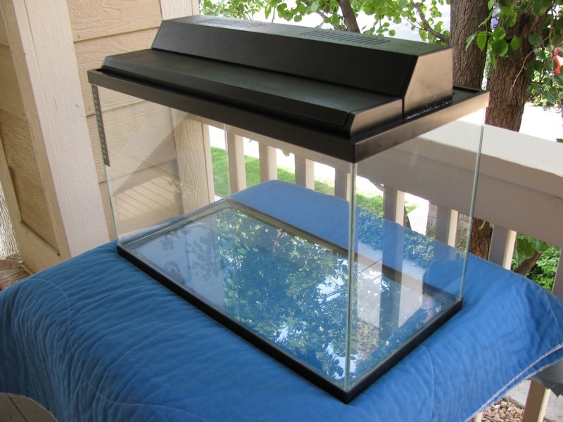 Aquarium (10 gallons) [LOCAL PICK UP ONLY] with heater, air pump etc.