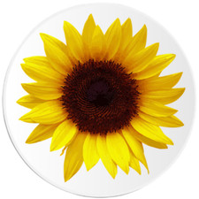 Sunflower - 100 Pack Circle Stickers 3 Inch - Flower Beautiful Floral Sunshine