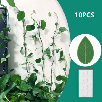 10pcs Plant Fixture Clip Plant Climbing Wall Self-Adhesive Fastener Tied FixY-lq
