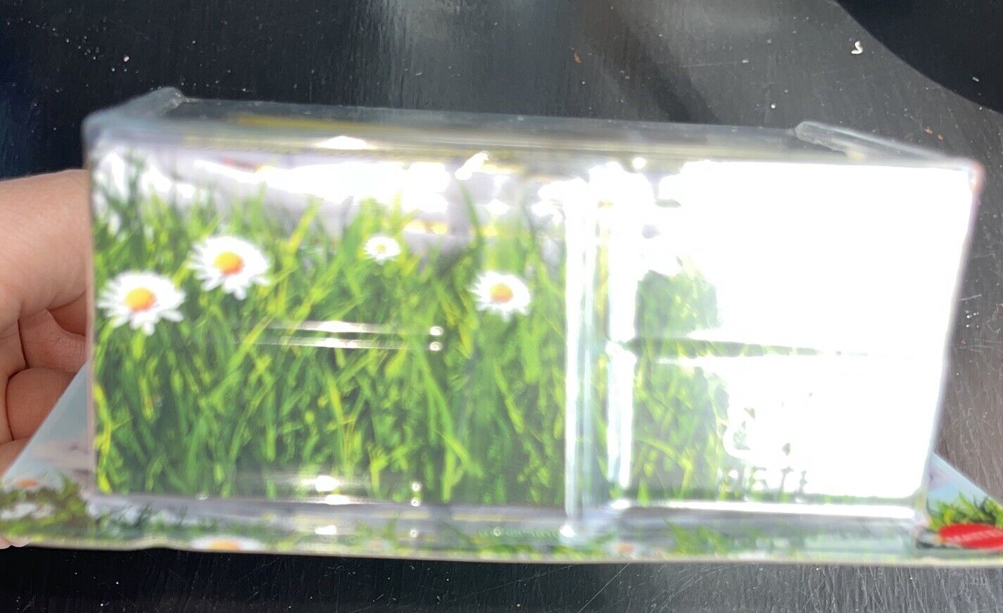 Picture 5 of 7