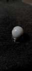 Silver Ox Blood — photo 5