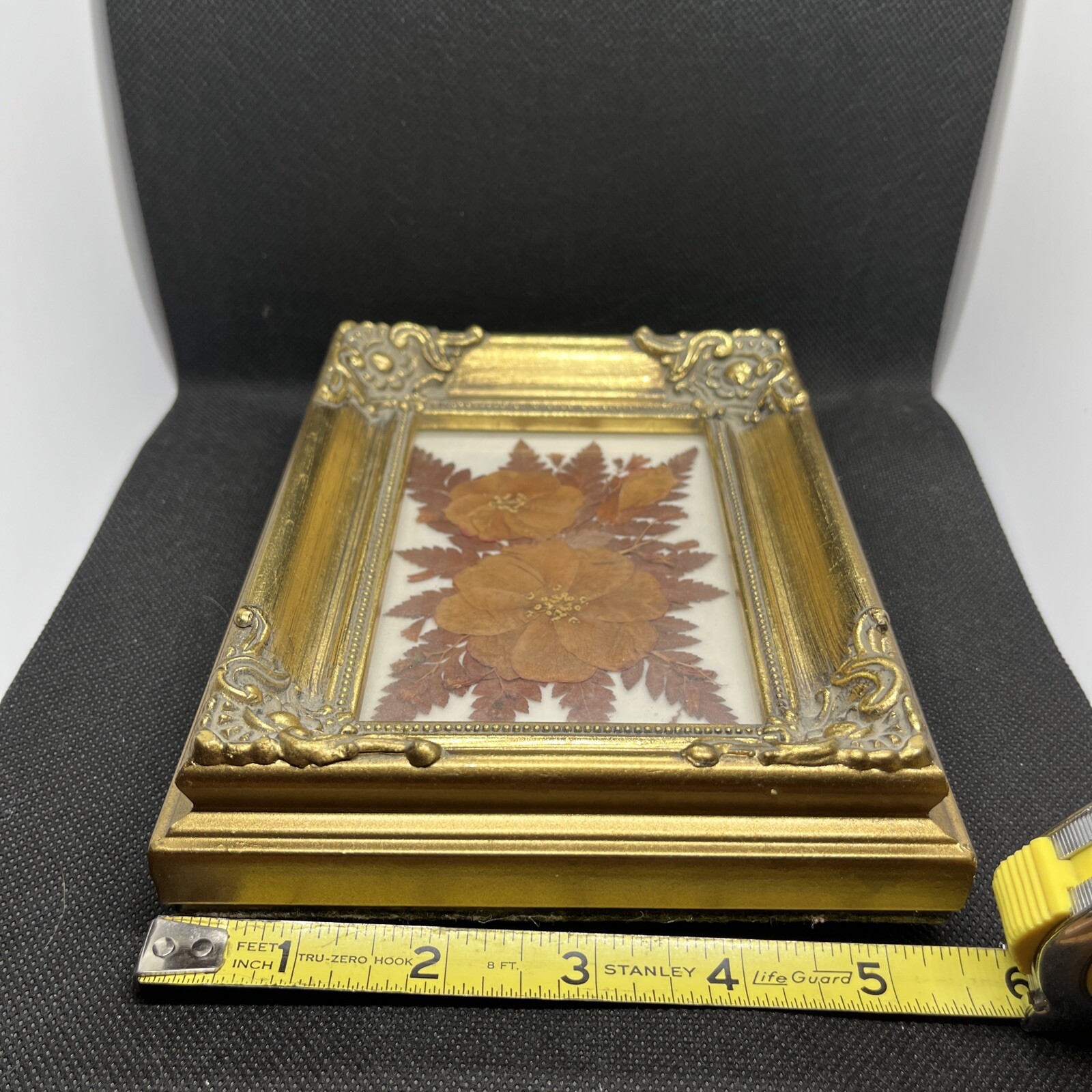 Vintage Pressed Dried Flowers Under Glass w/ Frame Wall Art eBay