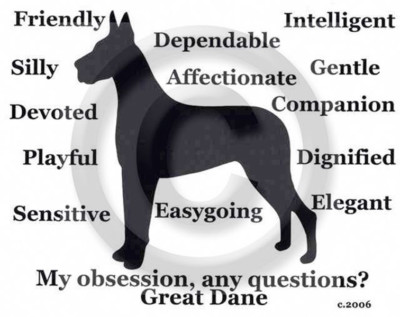 Great Dane Dog My Obsession, Any Questions? T-shirt Crop or not Choices