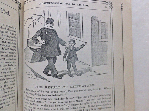 1897 Hostetter's United States Almanac. Medical Advertisements. - Picture 7 of 8