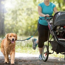 Adjustable Dog Training Bungee Leash Hands Free Dog Walking Belt Jogging