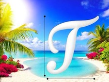 White Letter Initial 'T'  Bogg Bag beach charm tote bag charm New 4 in length