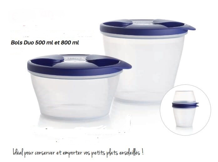 Tupperware bol duo boîte étanche de rangement frigo et conservation de repas