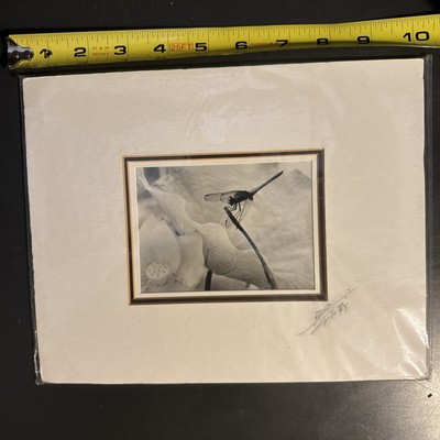 Fine Art Black & White Print Science Fiction Winged Bug Matted Signed 10x8 