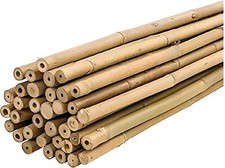 25 Canne di Bamboo per orto 150 cm Bambù tutori sostegno per piante canna