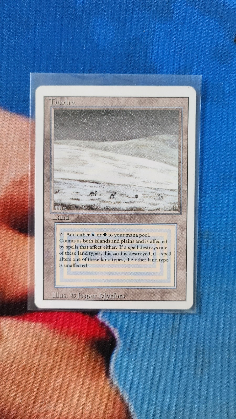 Tundra 1994 Revised Edition Base Price Guide - Sports Card