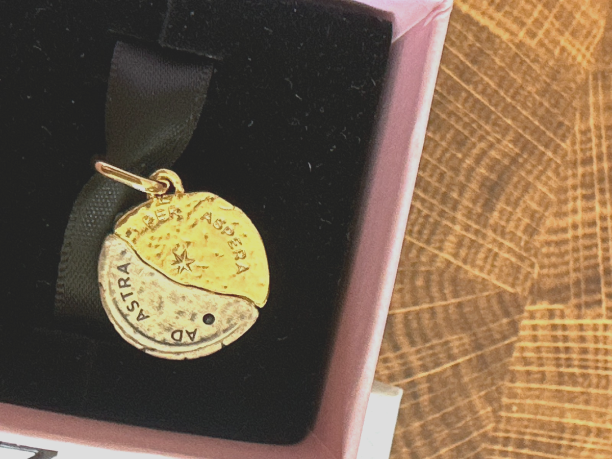 BN Pandora Sun and Moon Medallion Charm Sterling silver,14k gold