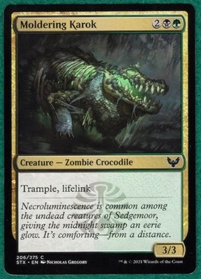 Moldering Karok - Strixhaven: School Of Mages STX #206 - Magic MTG Card