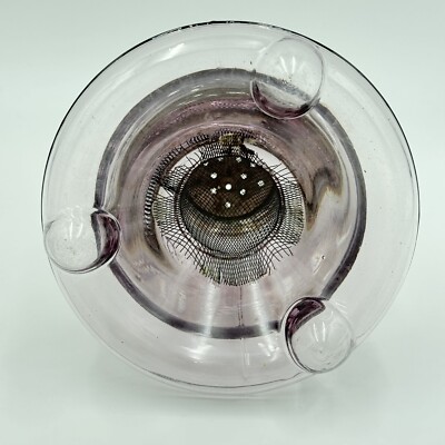 UNIQUE FLY TRAP Purple Glass Jar Bug Wasp Bee Fly insect Trap