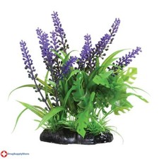 RA Purple Passion - 6" 2 Pack 