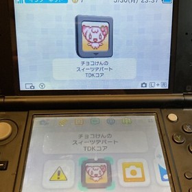 Nintendo DS Chocolate Dog Sweets Department Store Japanese Simulation Games NDS