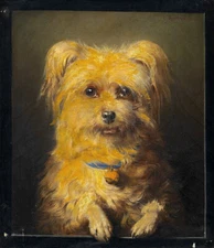 Handmade Oil Painting repro Carl Reichert  Portrait of a Dog