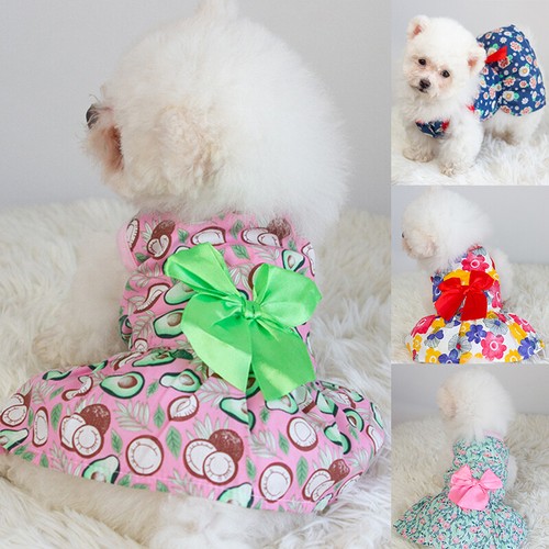 Mini Chien Robe Forme Mannequin Présentoir Poupée Modèle