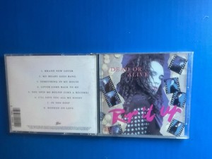 レア！デッド・オア・アライブ／Rip It Up 1987 ツアーパンフレット レア！デッド・オア・アライブ／Rip It Up 1987 ツアーパンフレット