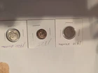 Starter  Collection  Mix Lot of  3 1920 Buffalo, 1910 V Nickel,1895 Indian Cent