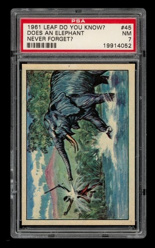 1961 Leaf Do You Know? Set-Break # 45 Does An Elephant Never Forget? PSA 7 NM