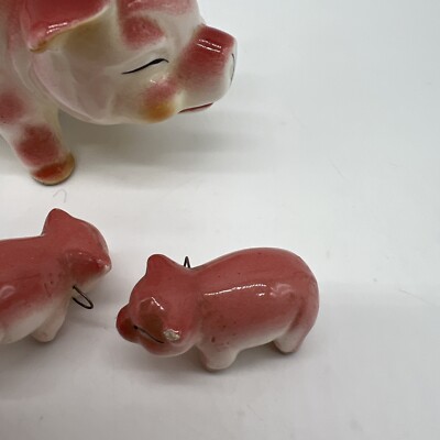 【希少】e.m.本『pearls on the pig』『1996-2006』 Buy 1/2 oz Silver Coin - Lunar Babies - Year of the Pig