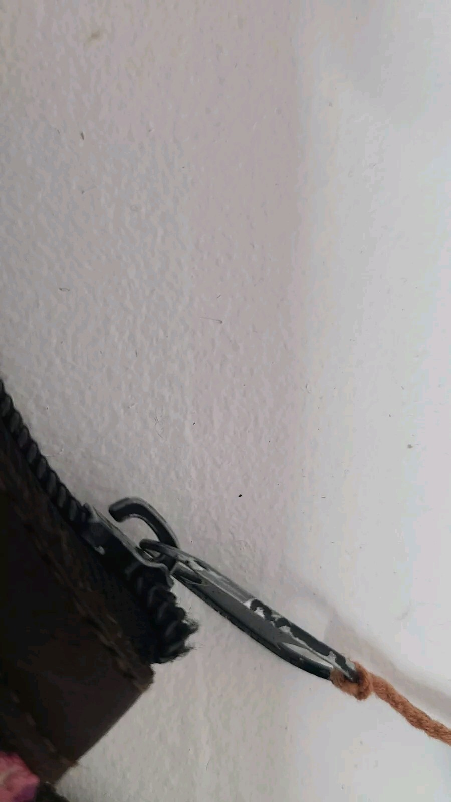 Picture 6 of 8