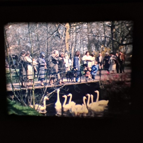 Super 8mm - Home Movie - France / Holland / Corso - 1986 - Silent - 2 x 400ft - Picture 7 of 24