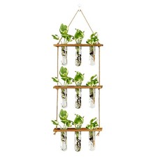 Wall Hanging Propagation Station with Wooden Stand Glass Test Tubes