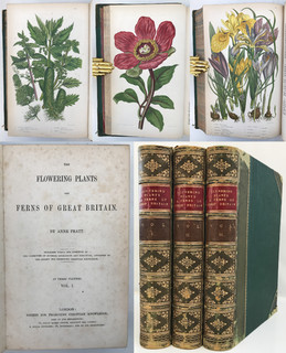 c.1855 Pratt FLOWERING PLANTS & FERNS 3 Vols Britain Botany 240 COLOUR PLATES