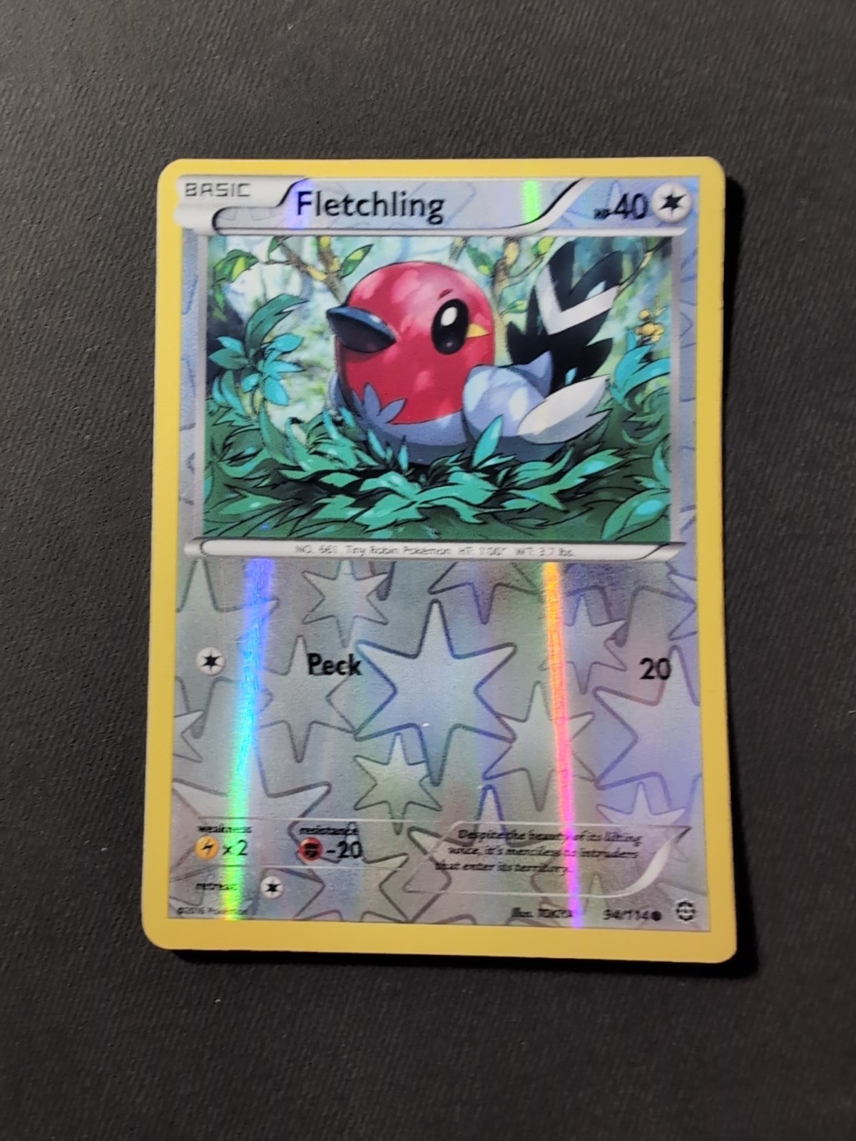 Fletchling 94/114 XY - Steam Siege Reverse Holo
