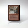 MTG Veteran's Voice Alliances Vintage 1996 Magic: The Gathering MP