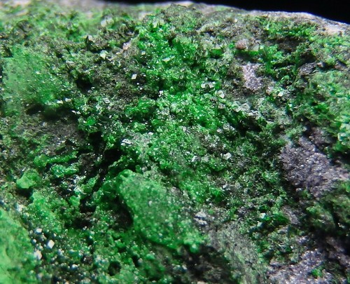 UVAROVITE rare green chromium GARNET --- RUSSIA - Ural Mts. - SARANY /pl522 - Picture 11 of 15