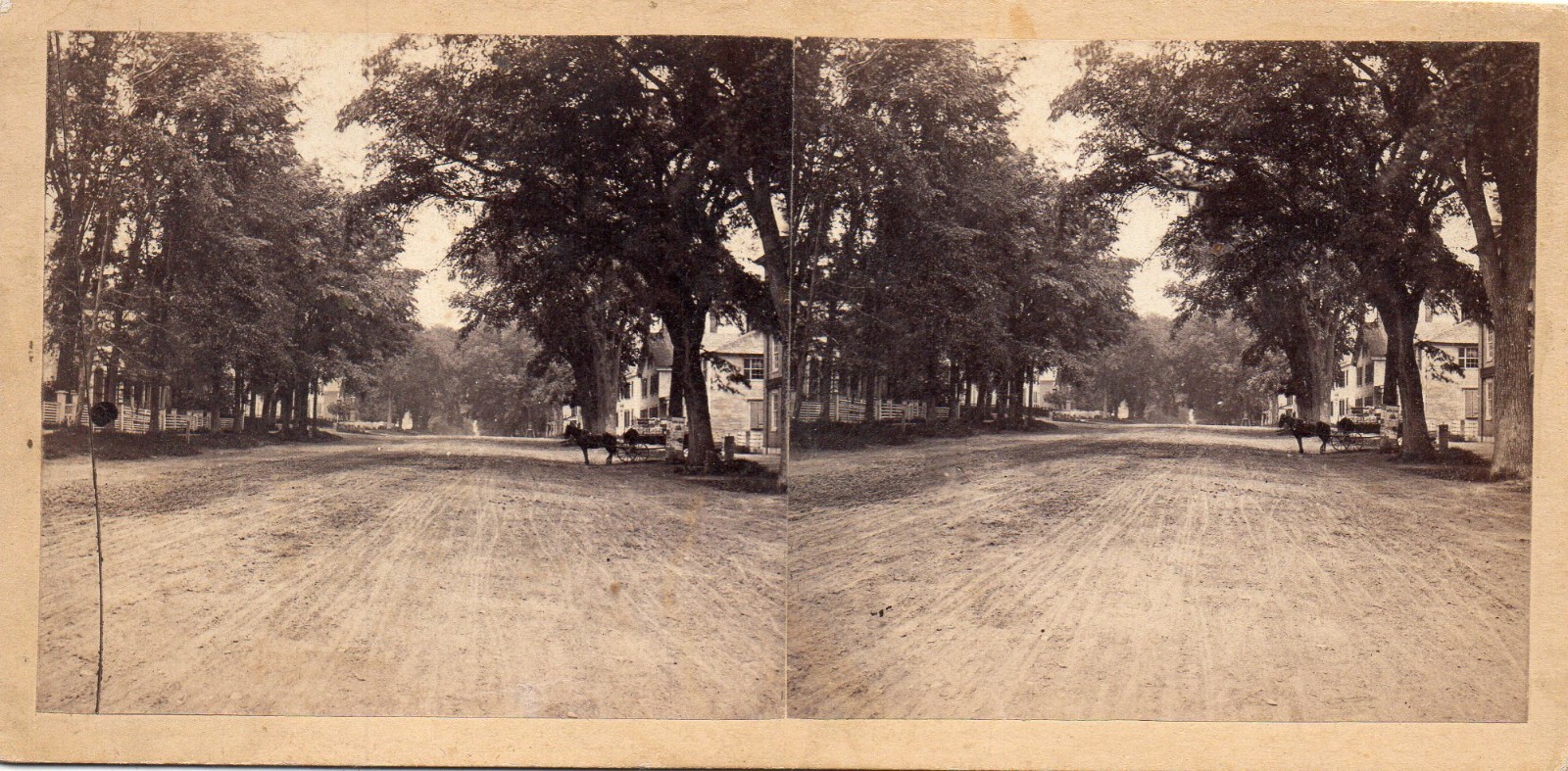 Horse pulling Wagon on Dirt Road, Neighborhood.  Stereoview Photo