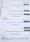 Afbeelding 5 van 5