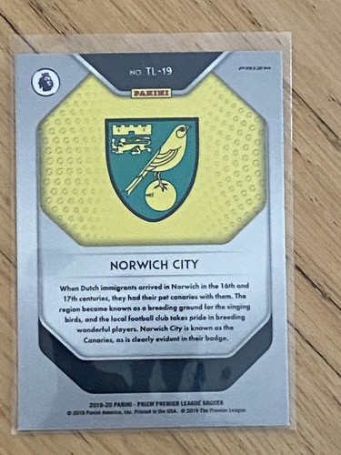2019-20 Norwich City Panini Silver Prizm Team Badge #TL-19 Card - Picture 2 of 2