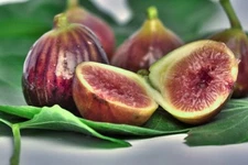 4 oz Candle Scent Oil-MEDITERRANEAN FIG