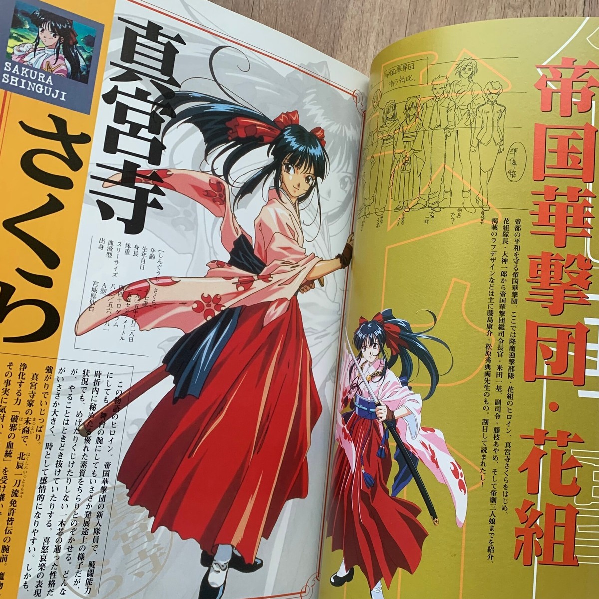 SEGA Sakura Wars Original Art Setting Document Collection 1996 w