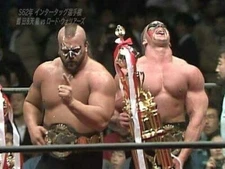 WRESTLING'S GREATEST TAG TEAMS - ROAD WARRIORS IN JAPAN VOLs  1-4- PRO WRESTLING