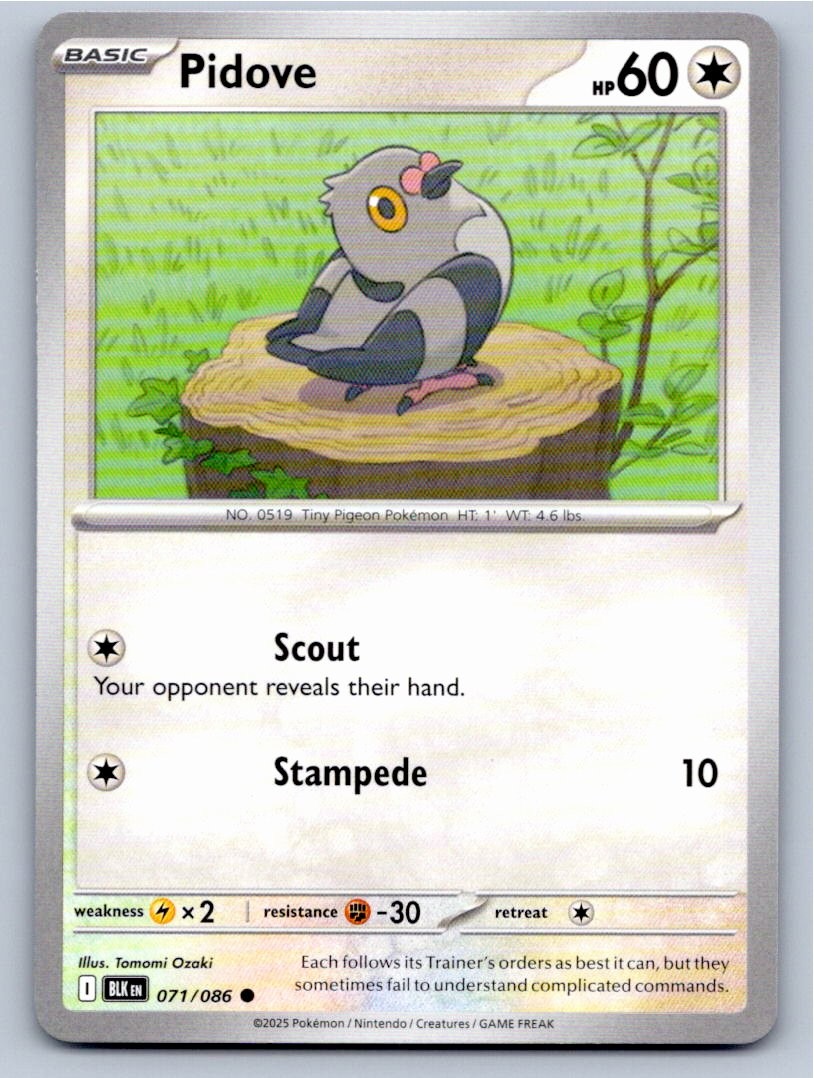 2025 POKEMON PIDOVE BLACK BOLT 071/086 COMMON NM A43548 FREE S&H