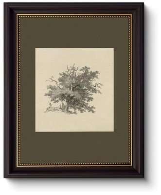 Myzoran Dark brown Frame Vintage Tree Wall Art Prints, Farmhouse Tree Sketch ...