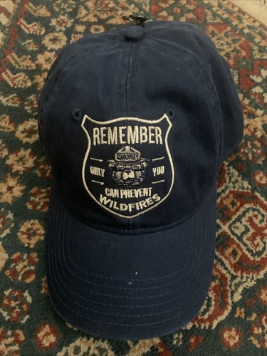 WILD FIRES ADULT DAD CAP NWT | eBay