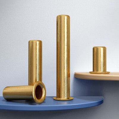 All'ingrosso Di Varie Forme A Testa Piatta In Ottone Rivetti Semi-tubolari A Tes - Foto 6